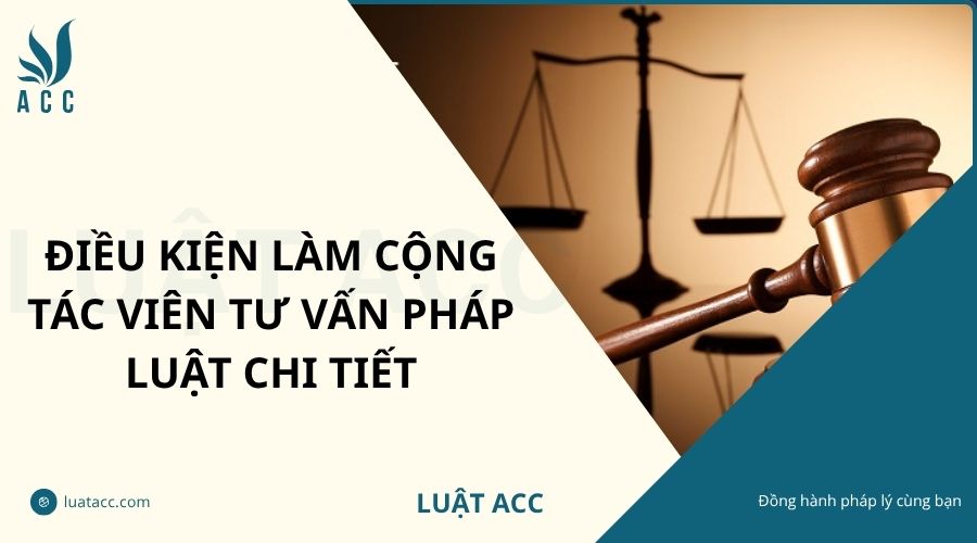 Điều kiện làm cộng tác viên tư vấn pháp luật chi tiết