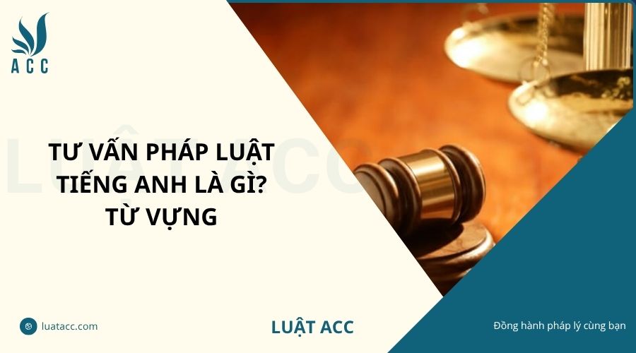 Tư vấn pháp luật tiếng Anh là gì? Từ vựng