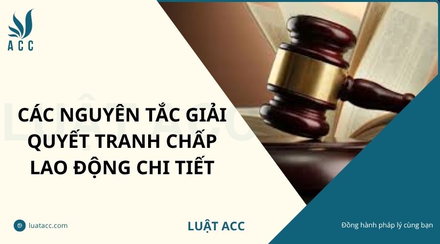 Các nguyên tắc giải quyết tranh chấp lao động chi tiết
