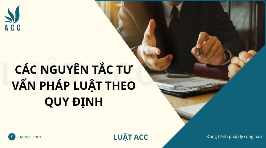 Các nguyên tắc tư vấn pháp luật theo quy định