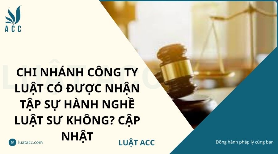Chi nhánh công ty luật có được nhận tập sự hành nghề luật sư không? Cập nhật