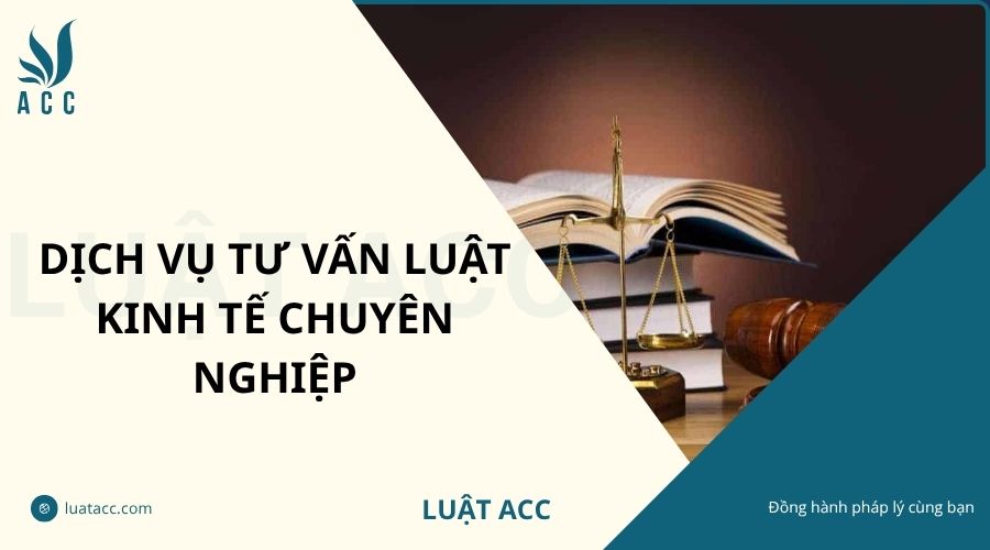 Dịch vụ tư vấn luật kinh tế chuyên nghiệp