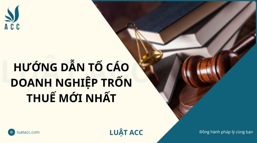 Hướng dẫn tố cáo doanh nghiệp trốn thuế mới nhất