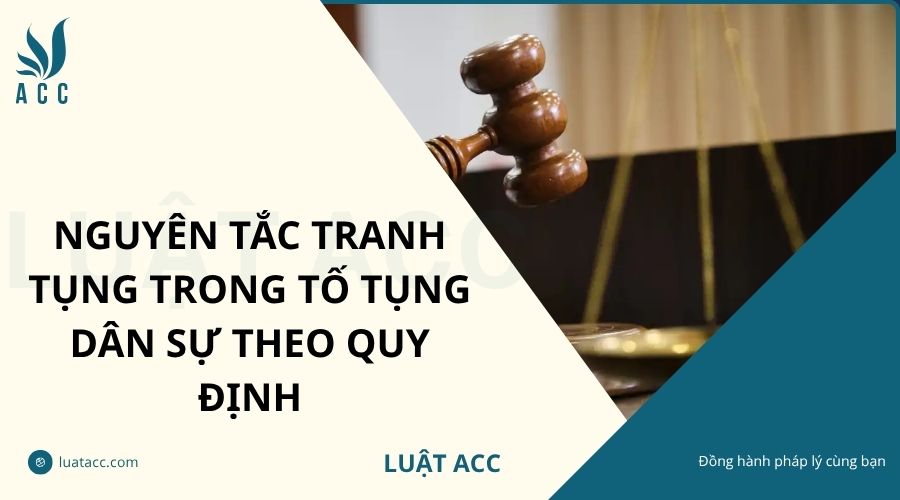 Nguyên tắc tranh tụng trong tố tụng dân sự theo quy định