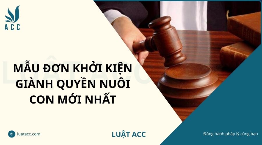 Mẫu đơn khởi kiện giành quyền nuôi con mới nhất