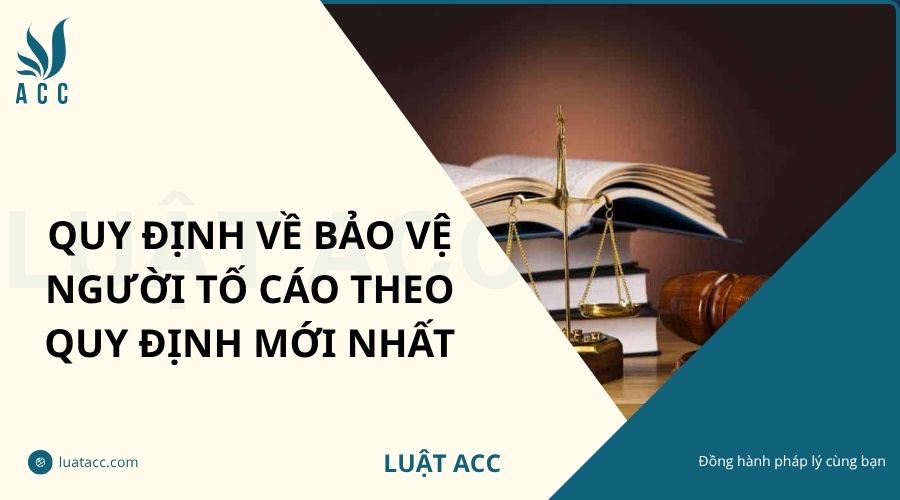 Quy định về bảo vệ người tố cáo theo quy định mới nhất