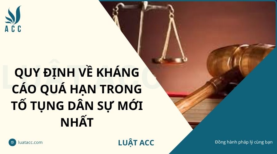 Quy định về kháng cáo quá hạn trong tố tụng dân sự mới nhất