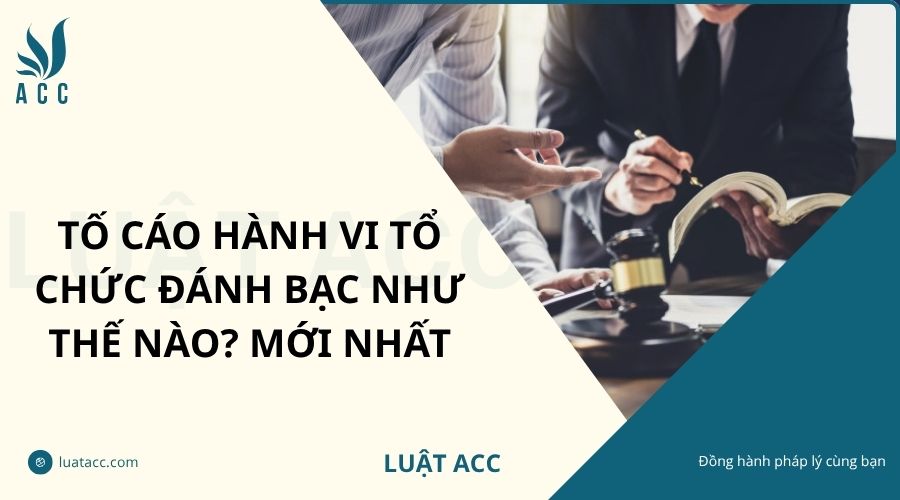 Tố cáo hành vi tổ chức đánh bạc như thế nào? Mới nhất
