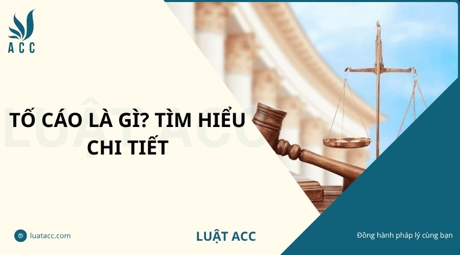 Tố cáo là gì? Tìm hiểu chi tiết
