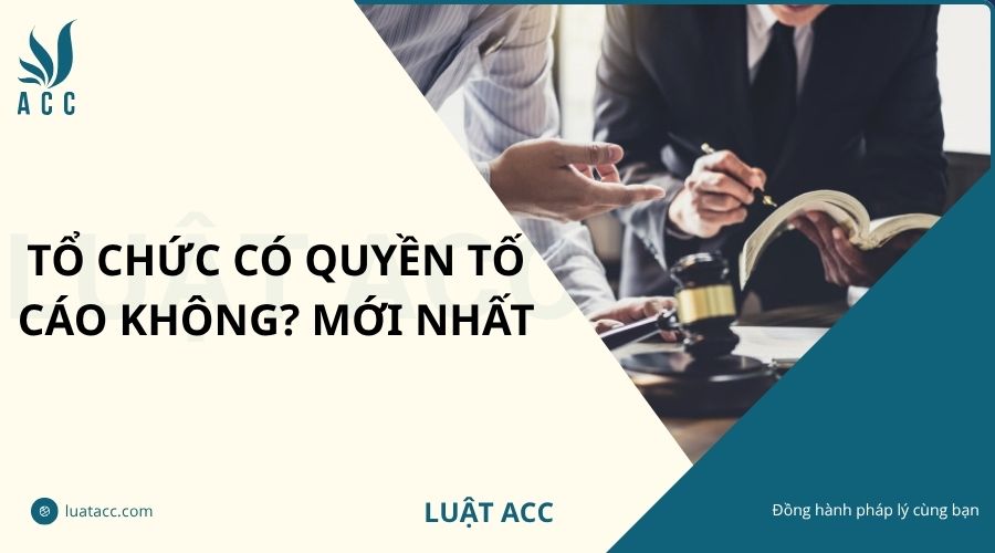 Tổ chức có quyền tố cáo không? Mới nhất
