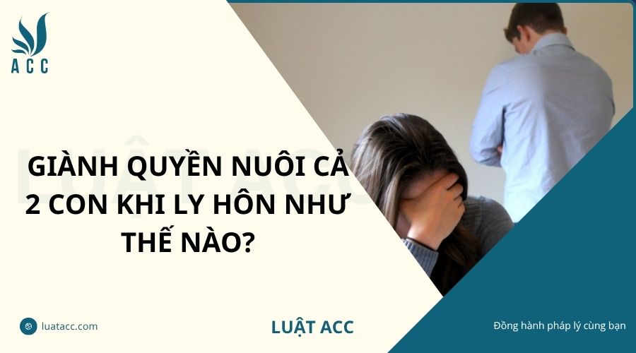 Giành quyền nuôi cả 2 con khi ly hôn như thế nào?