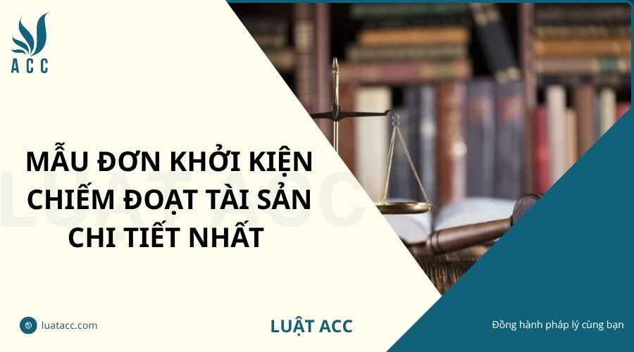 Mẫu đơn khởi kiện chiếm đoạt tài sản chi tiết nhất