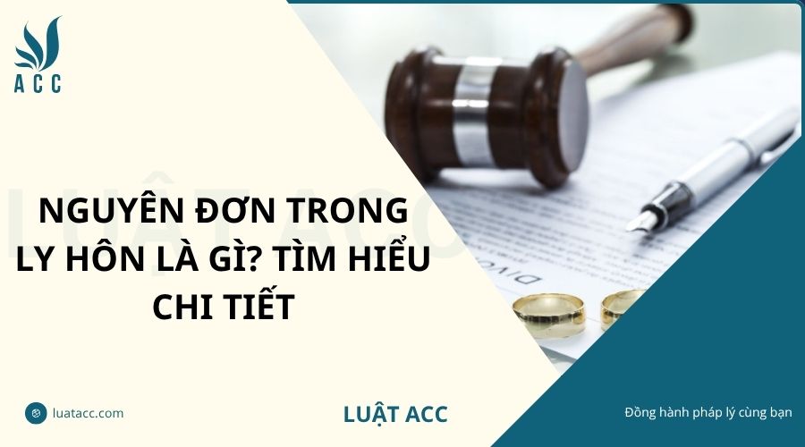 Nguyên đơn trong ly hôn là gì? Tìm hiểu chi tiết