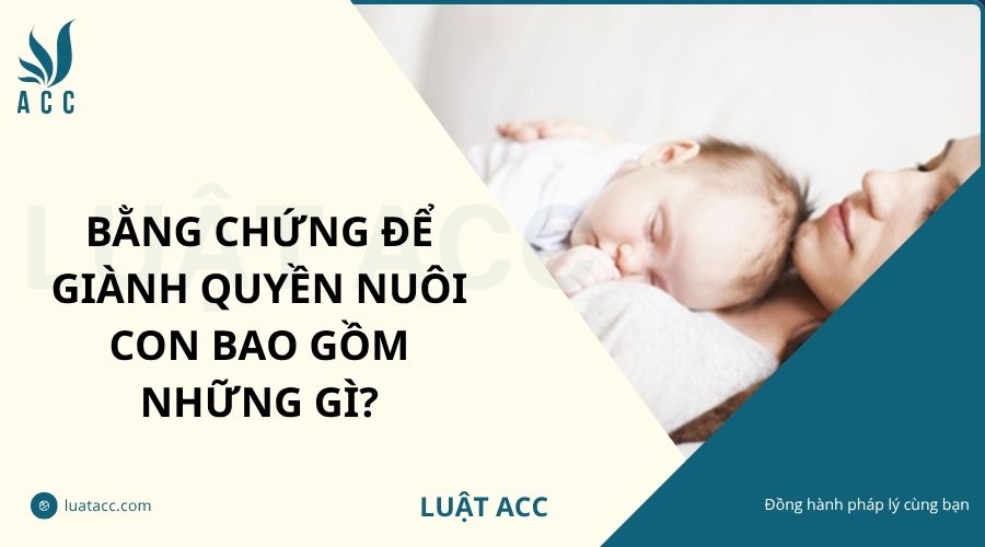 Bằng chứng để giành quyền nuôi con bao gồm những gì?