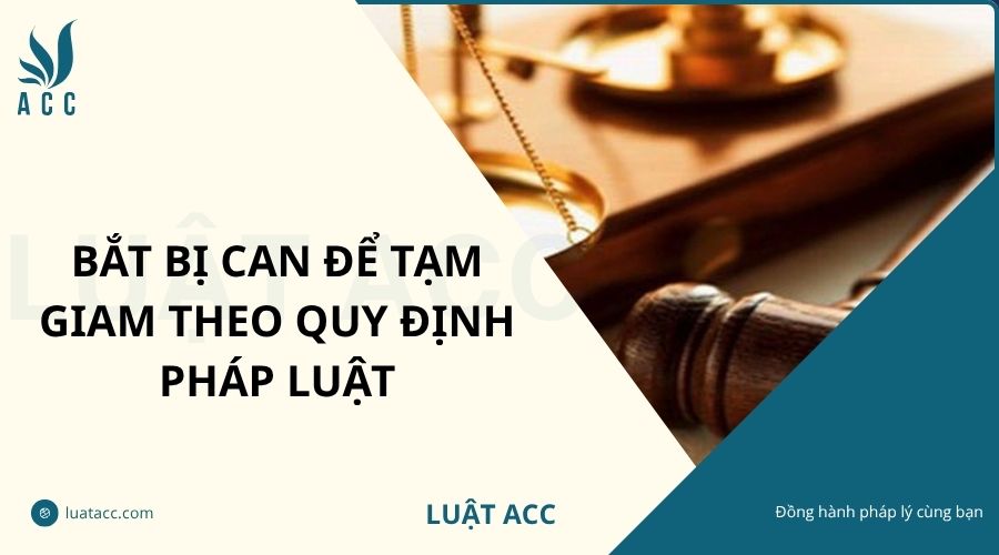 Bắt bị can để tạm giam theo quy định pháp luật