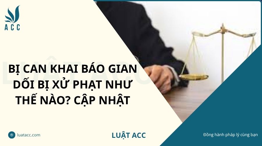 Bị can khai báo gian dối bị xử phạt như thế nào? Cập nhật