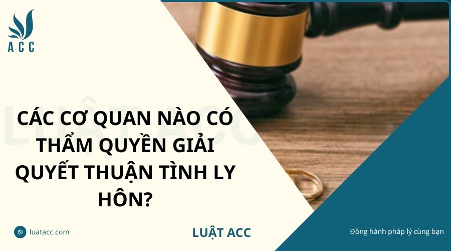 Các cơ quan nào có thẩm quyền giải quyết thuận tình ly hôn?