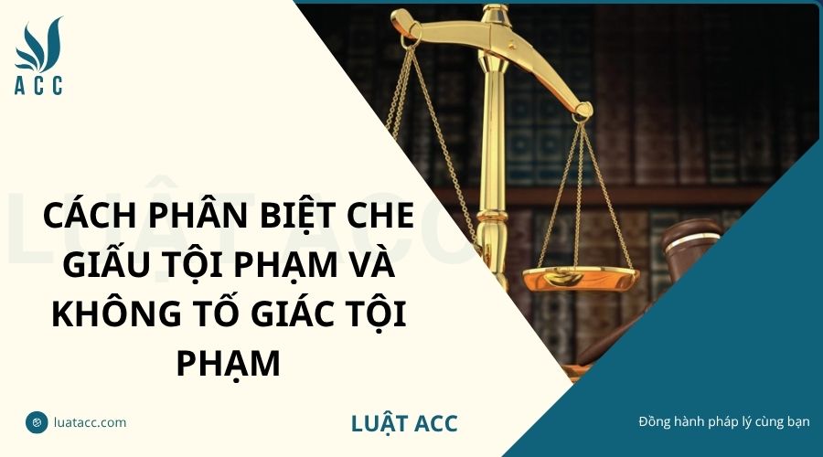 Cách phân biệt che giấu tội phạm và không tố giác tội phạm