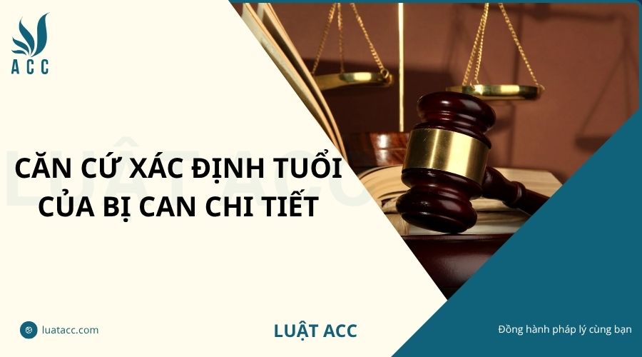 Căn cứ xác định tuổi của bị can chi tiết