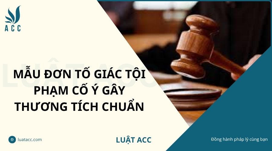 Mẫu đơn tố giác tội phạm cố ý gây thương tích chuẩn