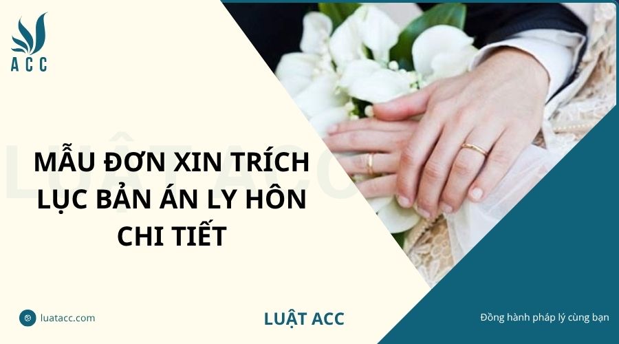Mẫu đơn xin trích lục bản án ly hôn chi tiết