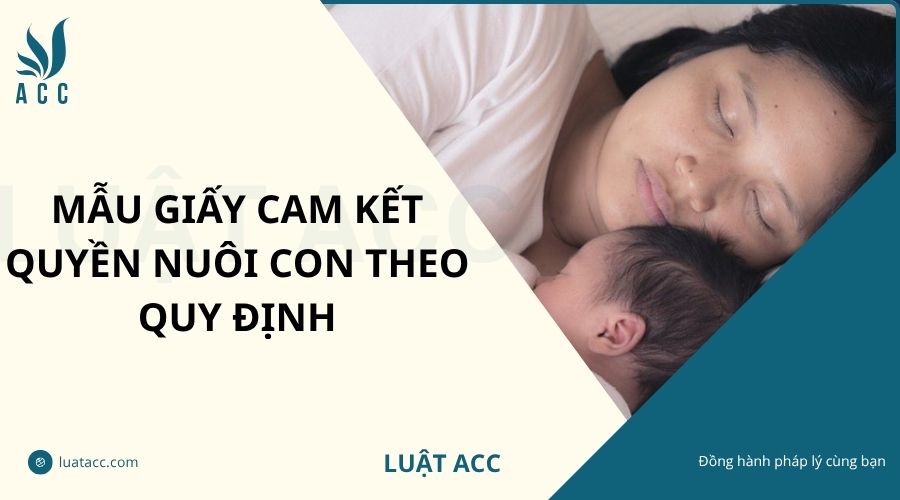 Mẫu giấy cam kết quyền nuôi con theo quy định