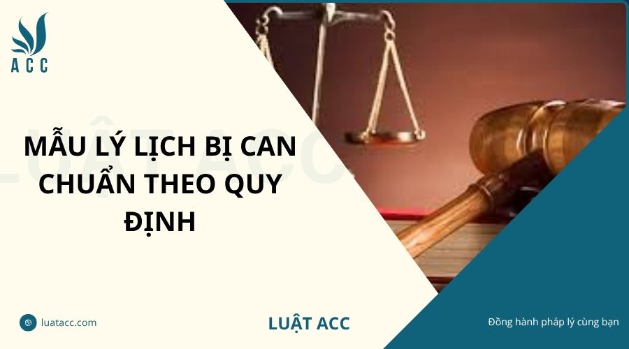 Mẫu lý lịch bị can chuẩn theo quy định