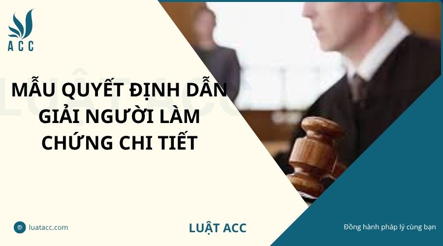 Mẫu quyết định dẫn giải người làm chứng chi tiết
