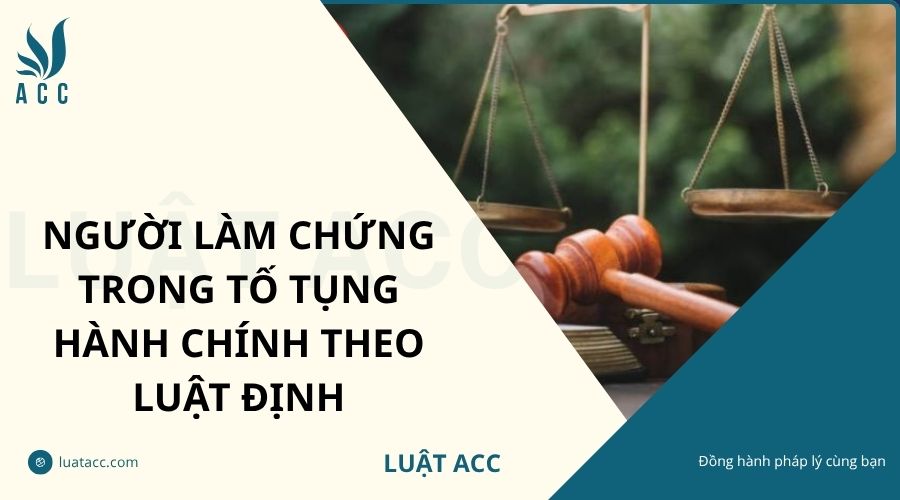 Người làm chứng trong tố tụng hành chính theo luật định