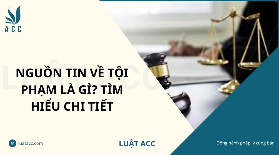 Nguồn tin về tội phạm​ là gì? Tìm hiểu chi tiết