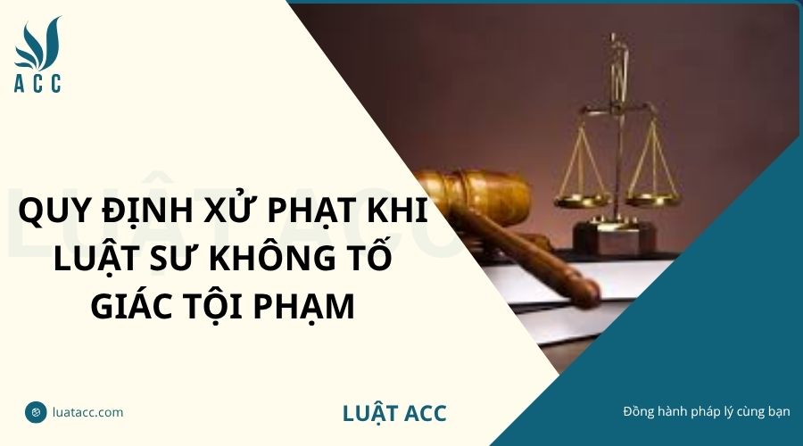 Quy định xử phạt khi luật sư không tố giác tội phạm