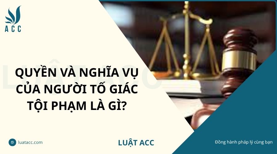 Quyền và nghĩa vụ của người tố giác tội phạm là gì?