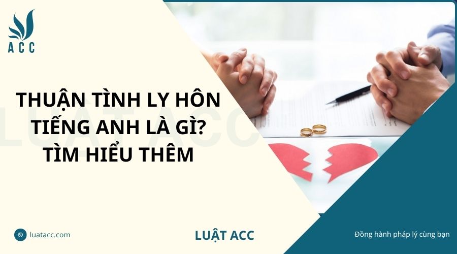 Thuận tình ly hôn tiếng Anh là gì? Tìm hiểu thêm