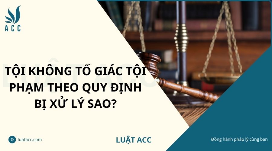 Tội không tố giác tội phạm theo quy định bị xử lý sao?