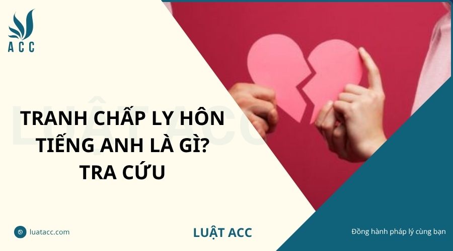 Tranh chấp ly hôn tiếng anh là gì? Tra cứu