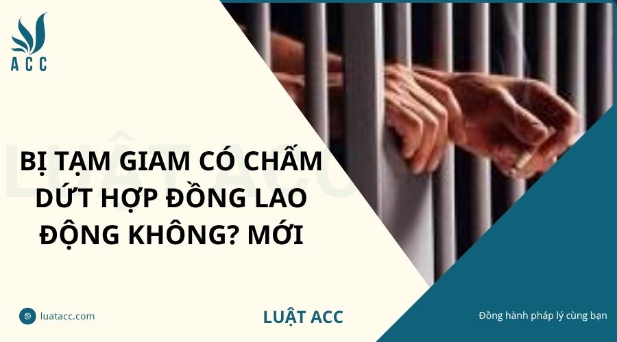 Bị tạm giam có chấm dứt hợp đồng lao động không? Mới