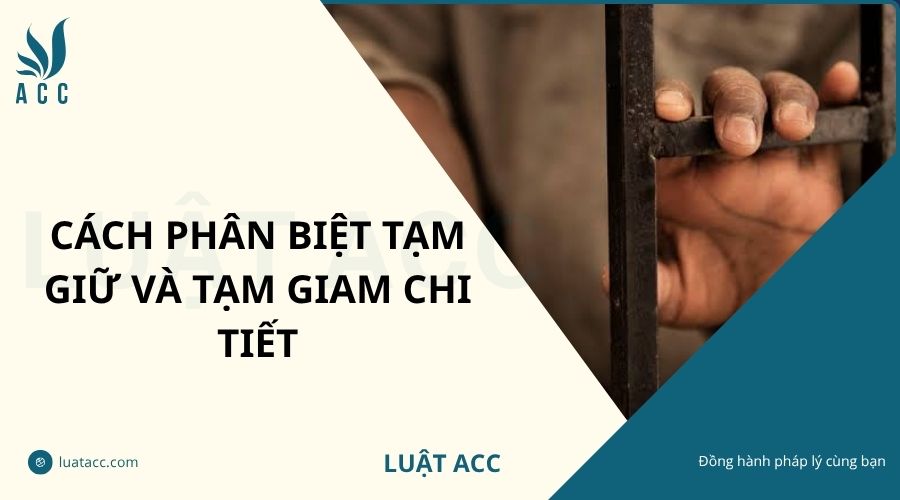 Cách phân biệt tạm giữ và tạm giam chi tiết