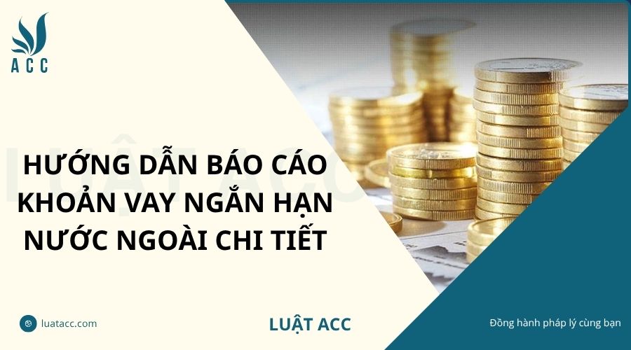 Hướng dẫn báo cáo khoản vay ngắn hạn nước ngoài chi tiết