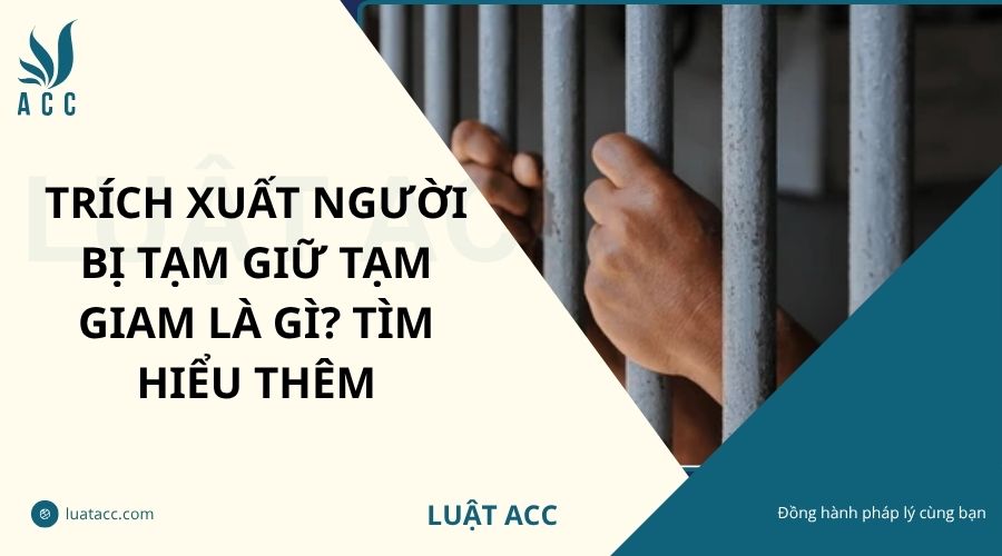Trích xuất người bị tạm giữ tạm giam là gì? Tìm hiểu thêm
