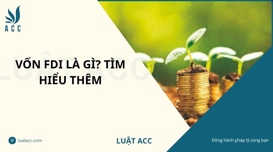 Vốn FDI là gì? Tìm hiểu thêm