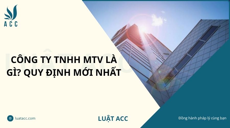 Công ty TNHH MTV là gì? Quy định mới nhất