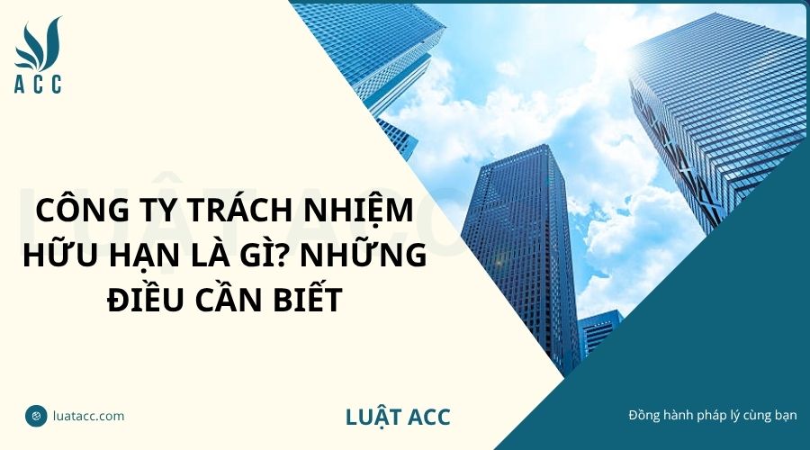 Công ty trách nhiệm hữu hạn là gì? Những điều cần biết