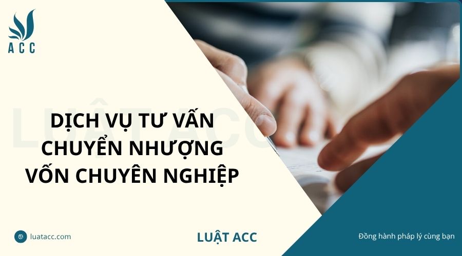 Dịch vụ tư vấn chuyển nhượng vốn chuyên nghiệp