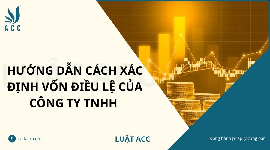 Hướng dẫn cách xác định vốn điều lệ của công ty TNHH