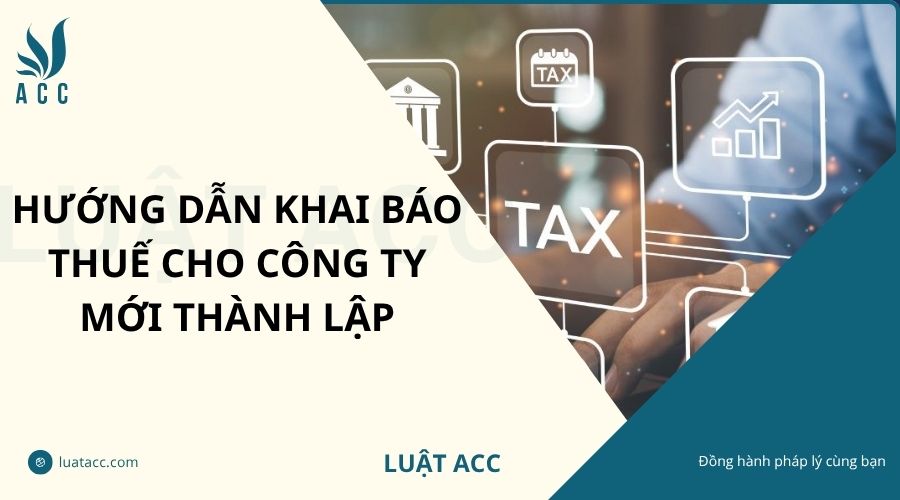 Hướng dẫn khai báo thuế cho công ty mới thành lập