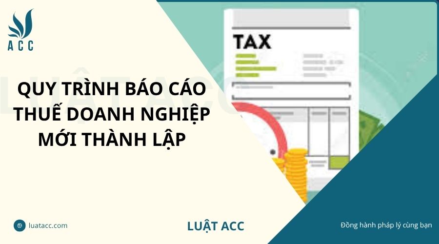 Quy trình báo cáo thuế doanh nghiệp mới thành lập