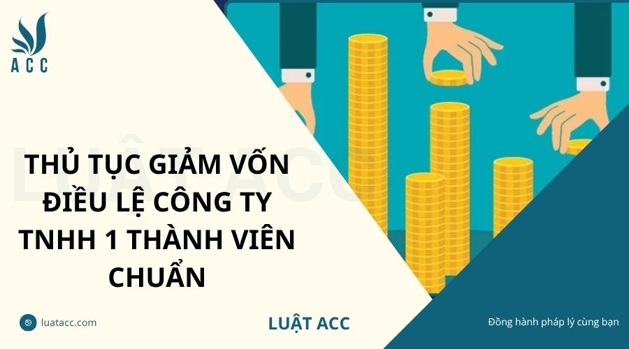 Thủ tục giảm vốn điều lệ công ty TNHH 1 thành viên mới